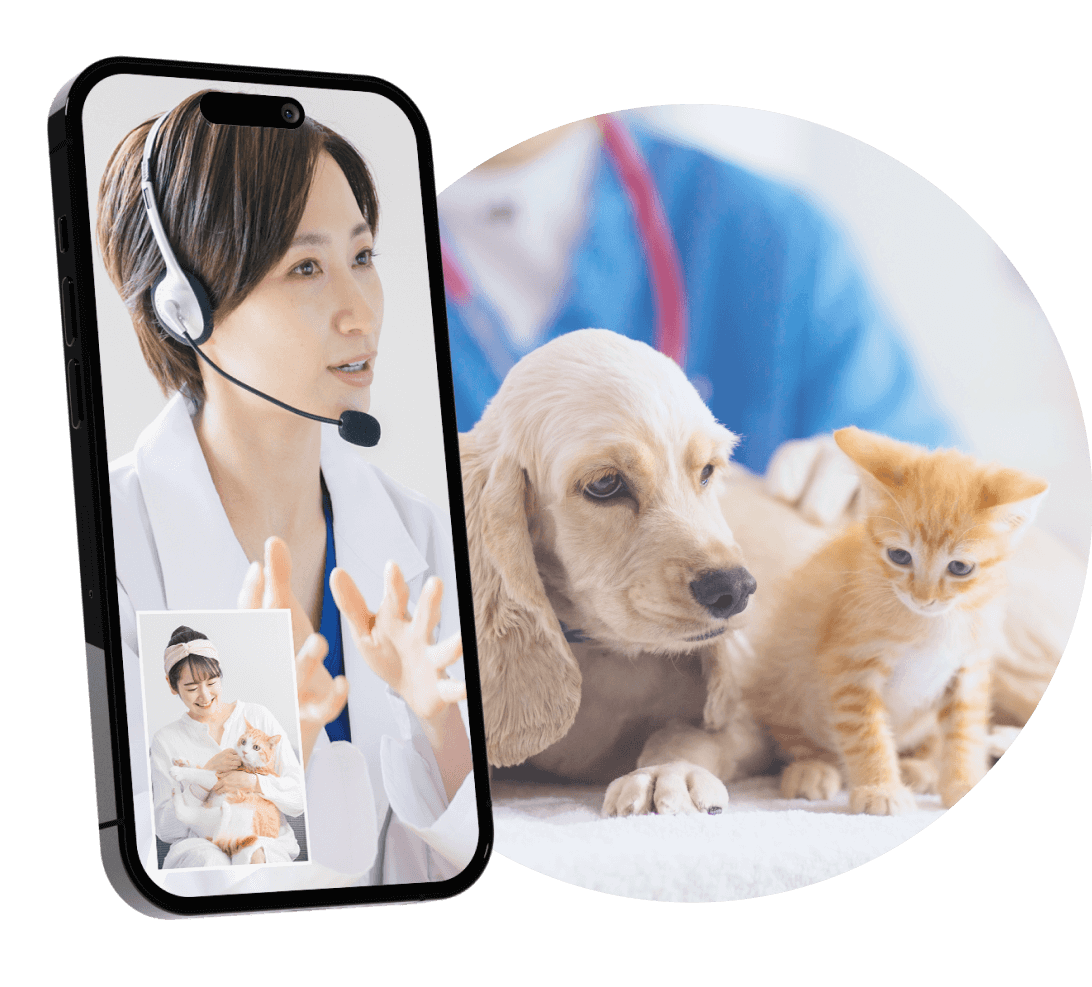 オンライン診療の様子